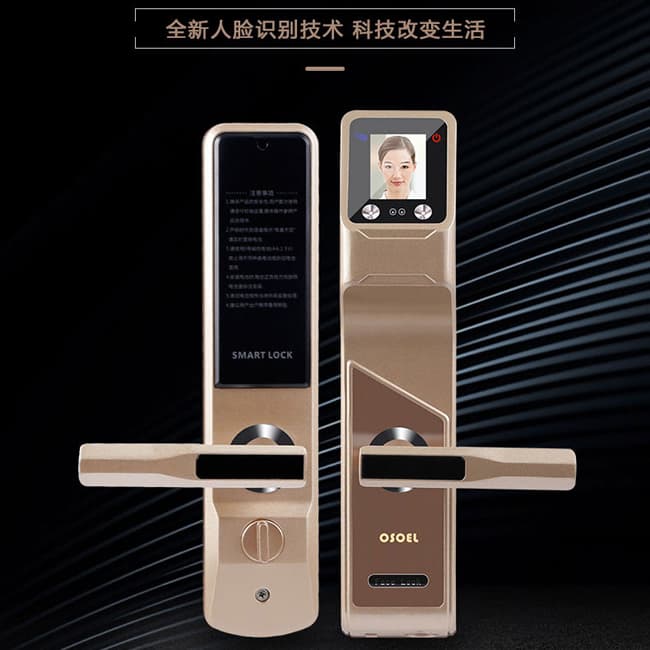 帝豐智能鎖 人臉識別智能鎖 家用電子密碼鎖
