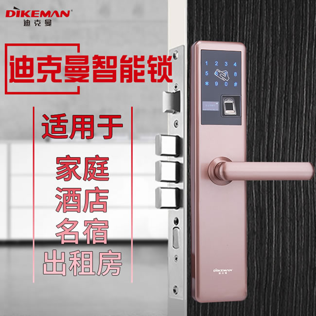 迪克曼智能鎖 家用防盜門智能鎖滑蓋鎖刷卡鎖A13