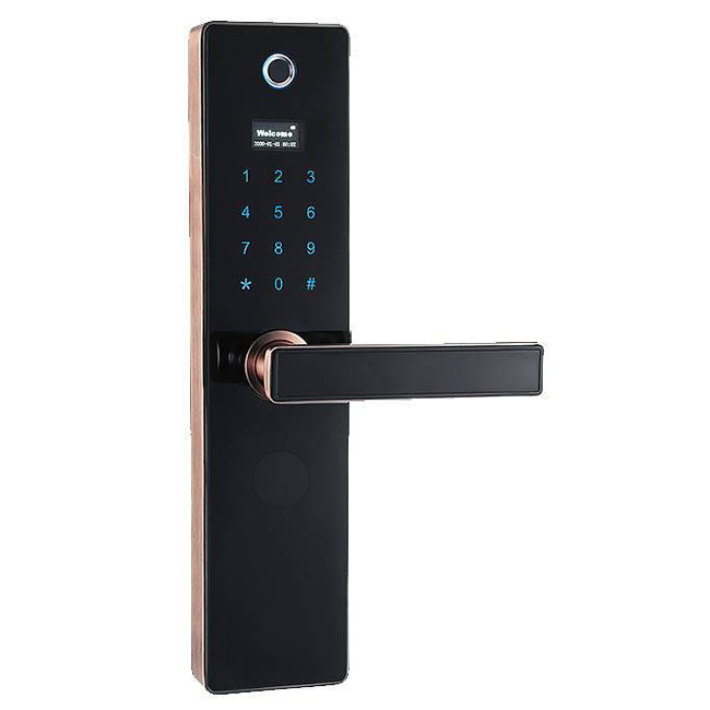 普利多智能鎖 家用直板指紋密碼鎖 防盜門智能鎖