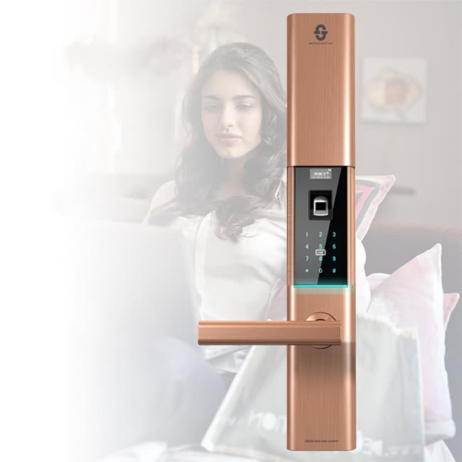 小家丁指紋鎖 D8家用電子鎖防盜門大門鎖