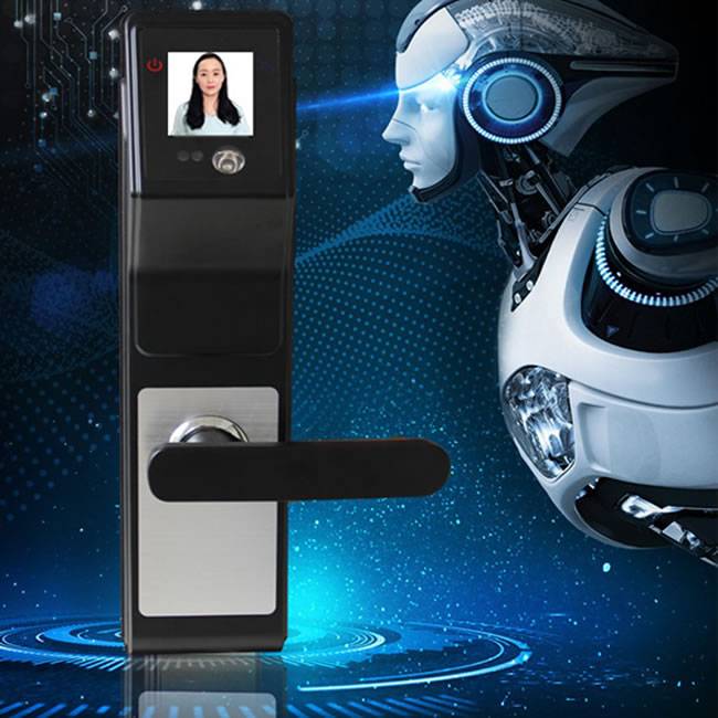 范斯洛克智能鎖 第一代人臉識別智能鎖 防盜密碼鎖