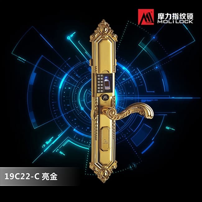 摩力指紋鎖 19C22-C歐式風格智能指紋鎖