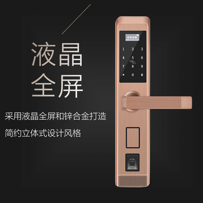逢科智能指紋鎖 家用防盜遠程開鎖F-3001