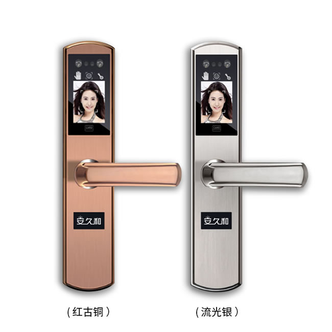 安久和智能鎖 人臉識別鎖家用防盜門掌紋識別鎖