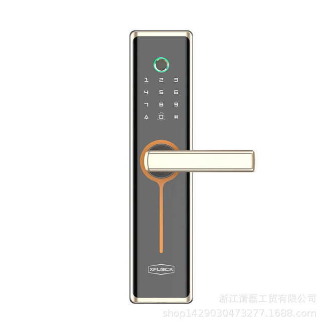 思瑪特智能鎖 全自動指紋家用防盜門智能鎖
