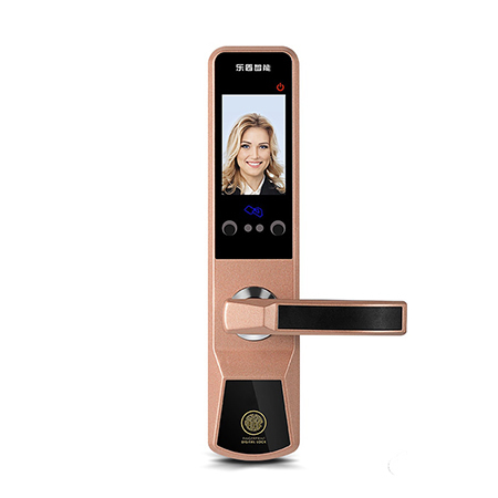 樂盾智能鎖 D3人臉識別鎖遠程防盜指紋鎖