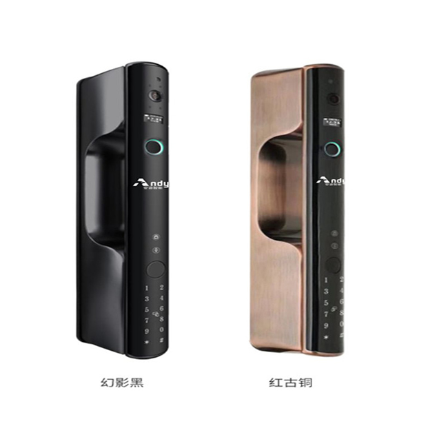 安迪智能鎖 Q1防盜門大門智能密碼鎖