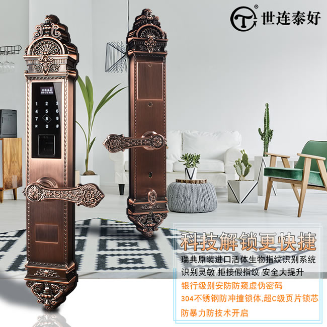 世連泰好純銅智能鎖 SL598木門電子鎖家用大門防盜鎖