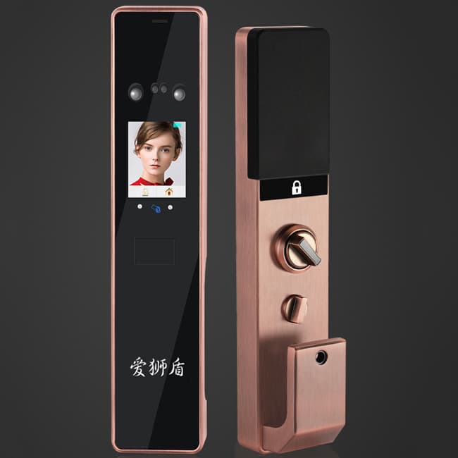 愛獅盾智能鎖 ASD-F3智新款人臉識別密碼鎖