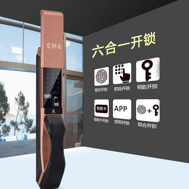 愛獅盾智能鎖 ASD-F1家用防盜門玻璃門密碼鎖