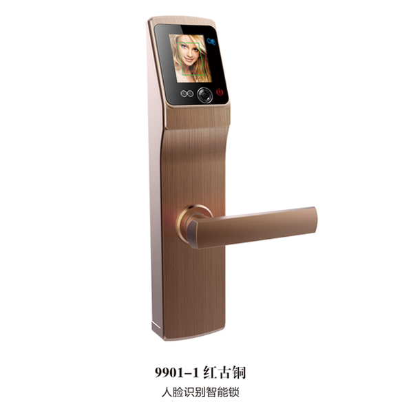 多麥福智能鎖 9901-1人臉識別智能鎖