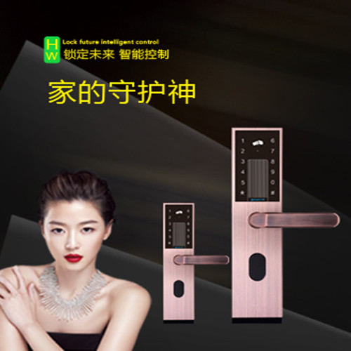 華唯智能鎖 HW-KM-H3簡(jiǎn)約時(shí)尚智能鎖
