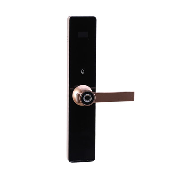 華仕龍智能鎖 H30直板密碼智能鎖