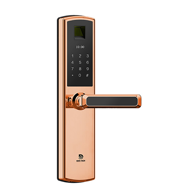 達(dá)奇智能鎖 D4家用防盜門密碼指紋鎖