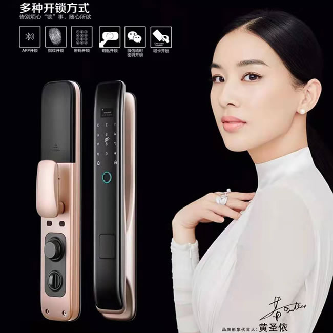 羅威納智能鎖 家用防盜門大門指紋鎖電子鎖