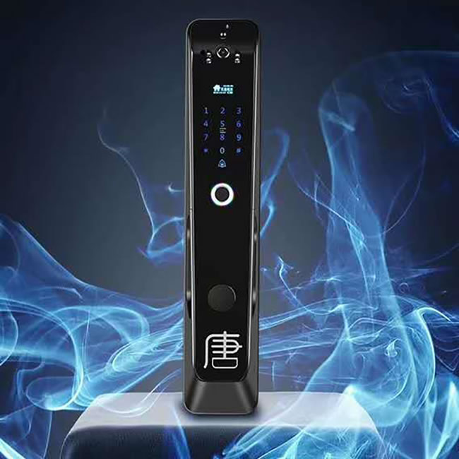 羅威納智能鎖 家用防盜門木門智能鎖密碼鎖
