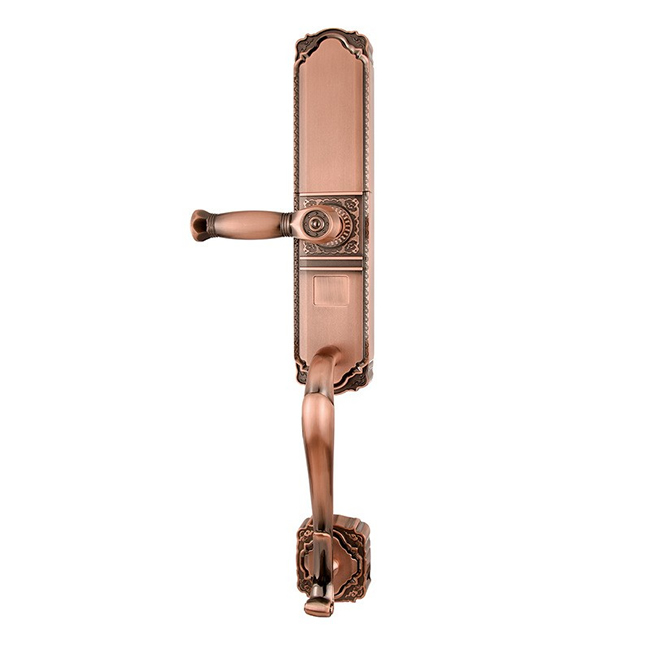 盾豹智能鎖 D-WZ1豪華別墅門指紋鎖