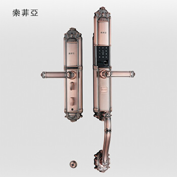 索菲亞智能鎖 S9別墅防盜門家用智能鎖