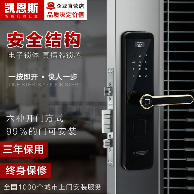 凱恩斯智能鎖 B3入戶門鎖防盜門鎖感應(yīng)鎖