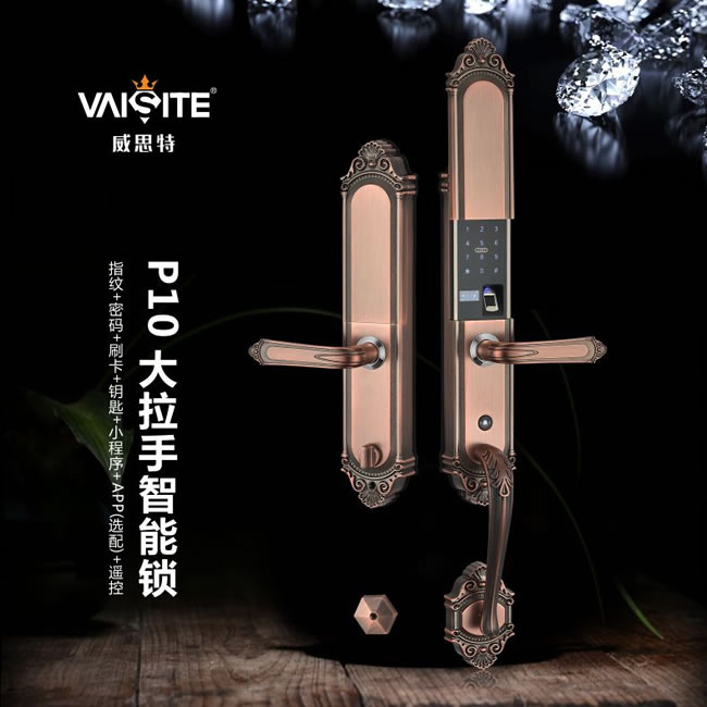 威思特智能鎖 P10豪華別墅大拉手智能指紋鎖
