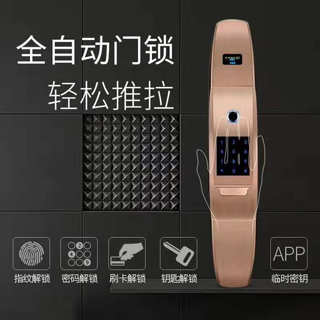 芯盾威龍智能鎖 和諧一號家用防盜智能鎖