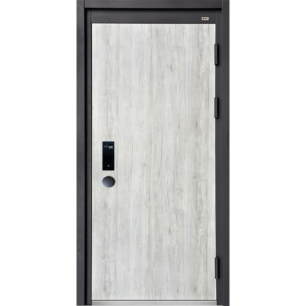 德盾智能門 甲級防盜門進戶門子母門