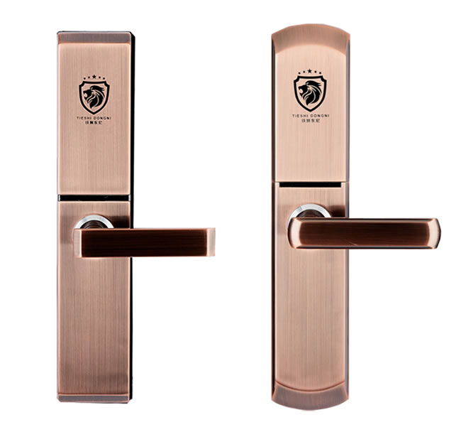 鐵獅東尼智能鎖 TS-600滑蓋家用防盜門大門鎖