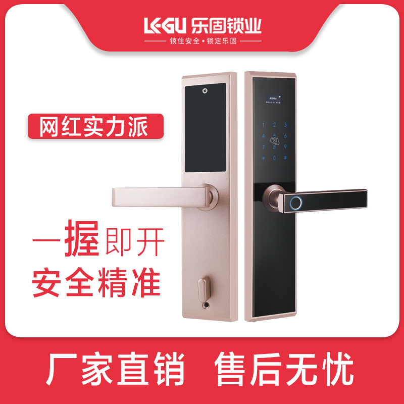 樂固智能鎖 Q11全自動木門電子鎖