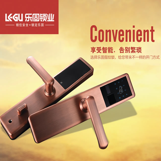 樂固智能鎖 LG-338家用入戶大門密碼磁卡門鎖