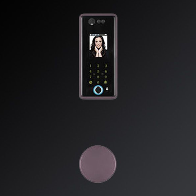 嘉仕邦人臉智能鎖X5半導體指紋頭識別