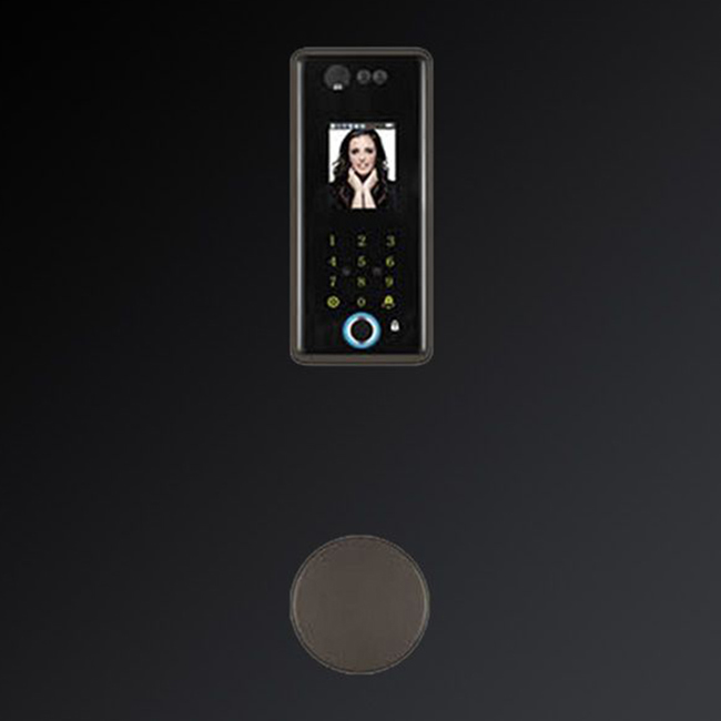 嘉仕邦3D人臉識別智能鎖X5半導體生物識別