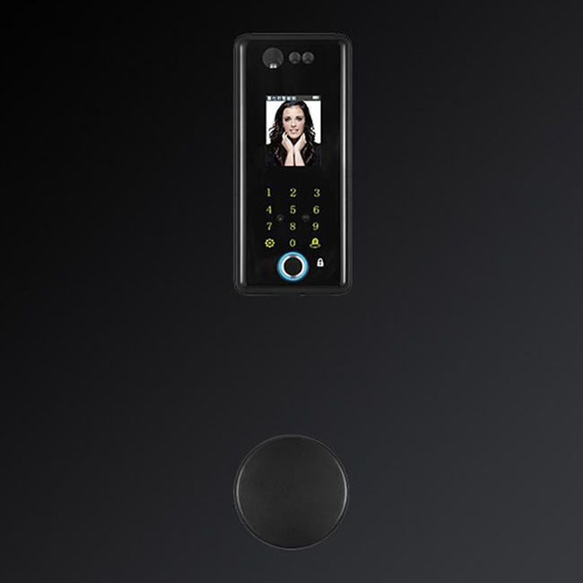 嘉仕邦人臉識別智能鎖X5嵌入式人臉識別