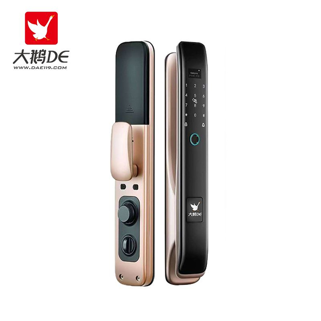 大鵝智能鎖 防盜門全自動智能密碼鎖