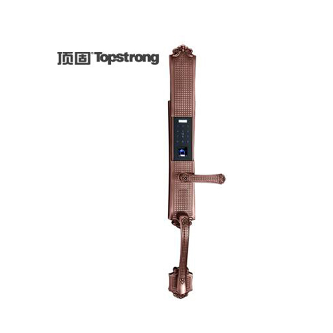 頂固 CS6811-ZF9700智能鎖 凡爾賽系列