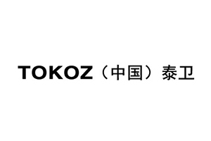 泰衛(TOKOZ)智能鎖