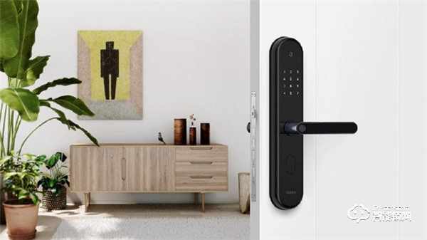 對話綠米聯創CEO游延筠：創業就像走迷宮，總是遇到十字路口