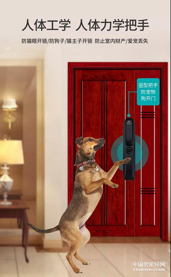 豪力士未來三號震撼上市全球發布