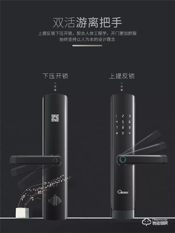 眾望“鎖”歸 | 復(fù)旦申花智能鎖“SLS29-C3”榮耀上市