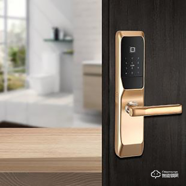 簡單享智能，讓家更懂您！金蟻豆智能家居新款智能門鎖上市了！