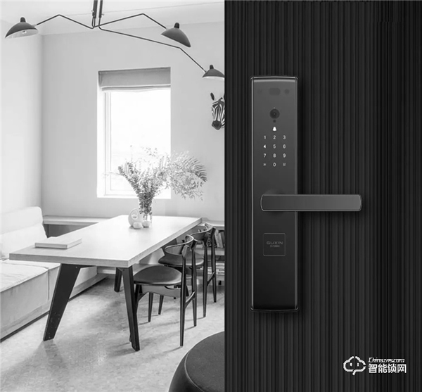 要有貓眼，又要規避掉貓眼的安全漏洞，用王力智能鎖就搞定啦