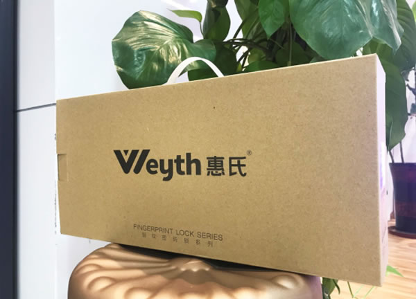 年輕人喜歡的智能鎖，有哪些特征？惠氏X66真實開箱測評