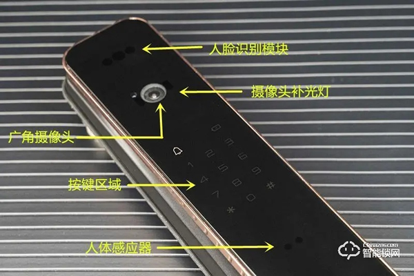 德施曼麒麟R8人臉識(shí)別智能鎖靜態(tài)體驗(yàn)