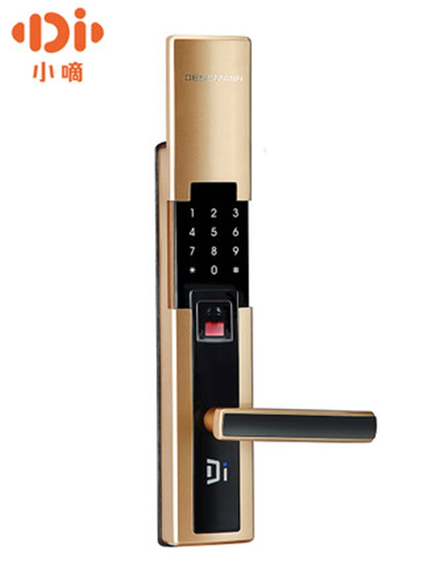 德施曼智能鎖多少錢_德施曼智能鎖特點介紹
