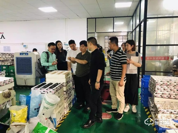 前置離合、中置離合與后置離合有何異同——中國建博葵花獎考察團對話福樂門陳云 前置離合、中置離合與后置離合有何異同——中國建博葵花獎考察團對話福樂門陳云