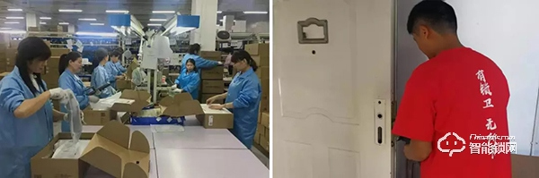 雙12再獲全網NO.1 德施曼提前鎖定2019全年智能鎖線上銷冠！