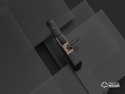 不僅是門面擔當還有C位實力，TCL智能鎖開啟智慧家庭新入口