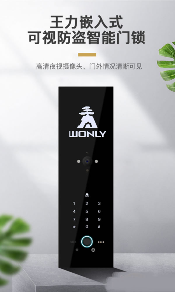 王力智能門鎖多渠道聚力爆發(fā)，銷量領(lǐng)跑行業(yè)