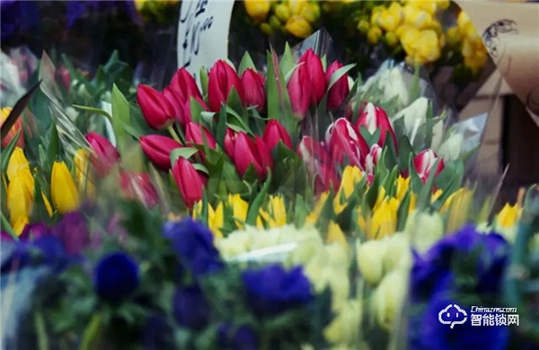 飛利浦智能鎖，讓團聚更及時，讓年味更顯智慧