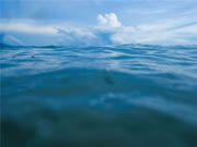 王力智能鎖口碑怎么樣？