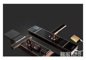 家庭住宅智能門鎖分哪些 家庭住宅智能門鎖分哪些